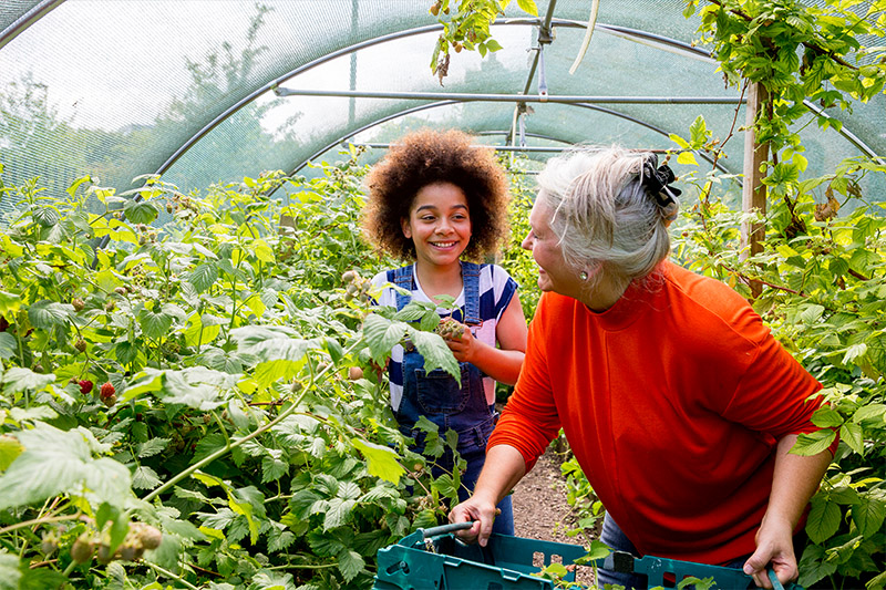 Student working in a greenhouse