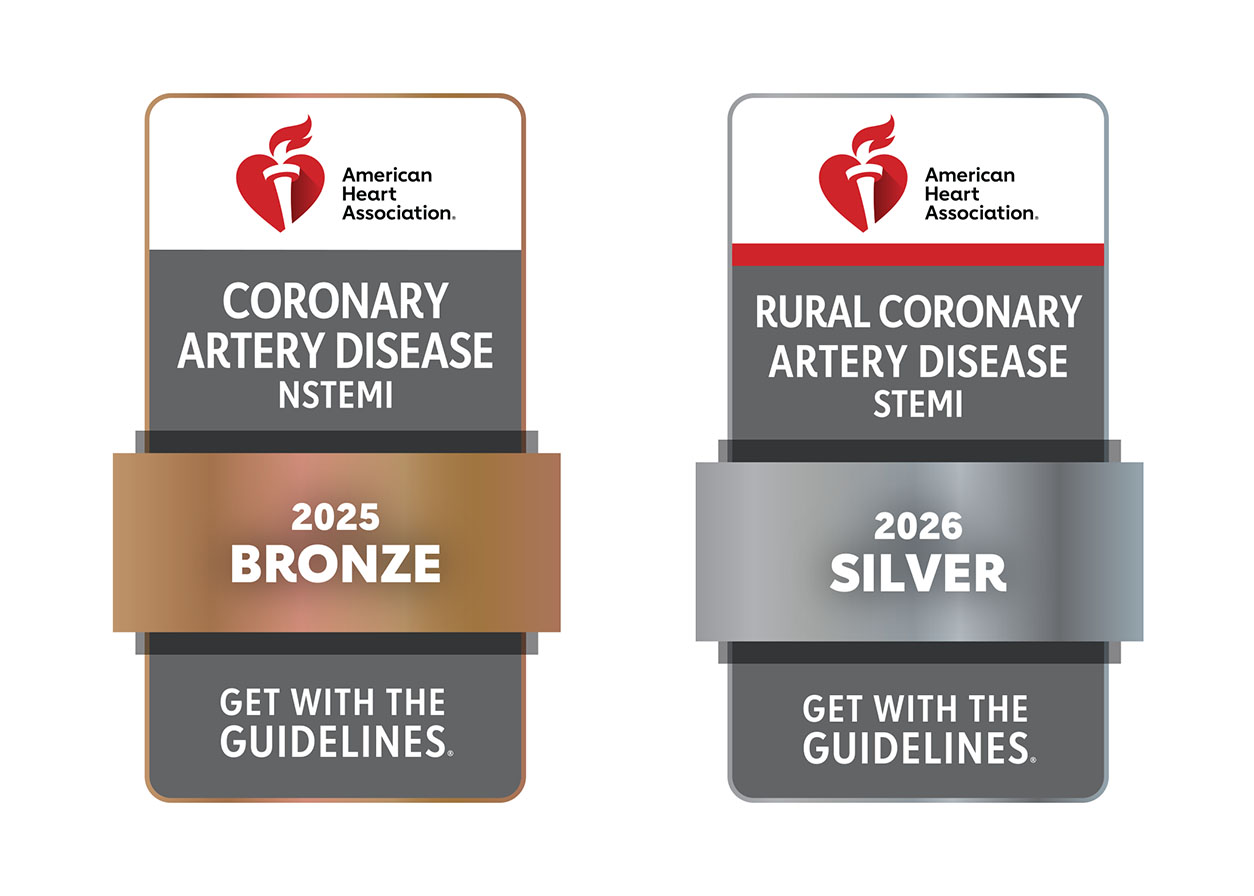 Image of Bronze and Silver AHA GWTG Badges