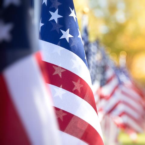 American flags lined up in a row