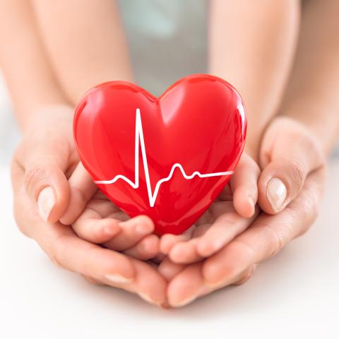 hands holding a heart-shaped item