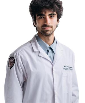 Bagragheh Arash