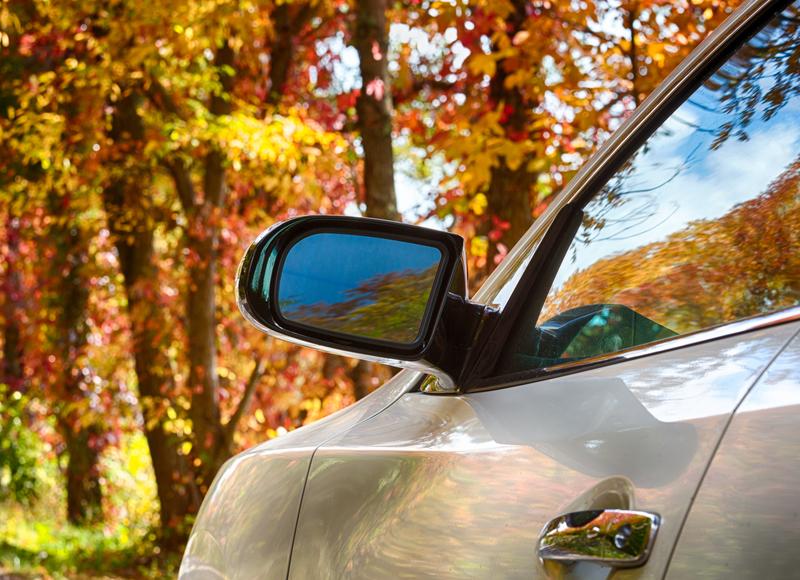 a car mirror with fall leaves