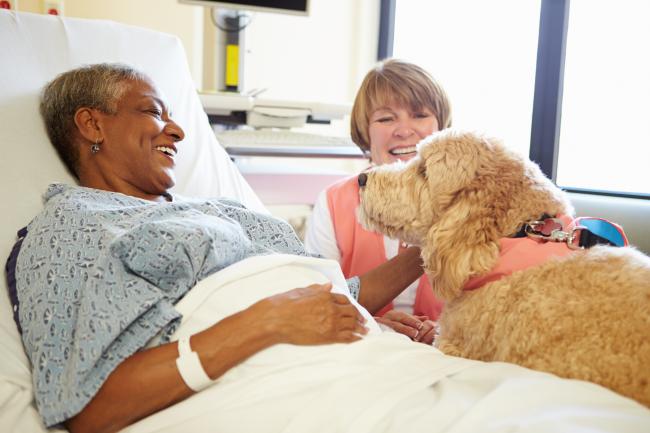 Pet Therapy dog visit