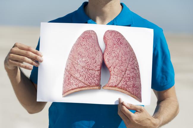 lung