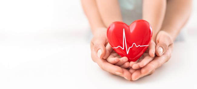 hands holding a heart-shaped item