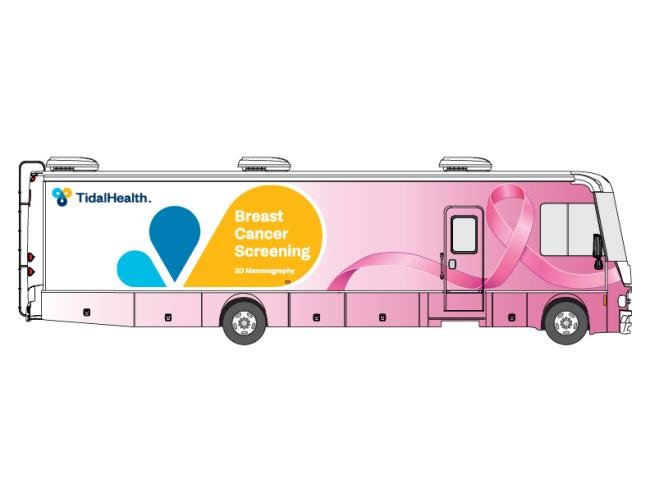 mammovan