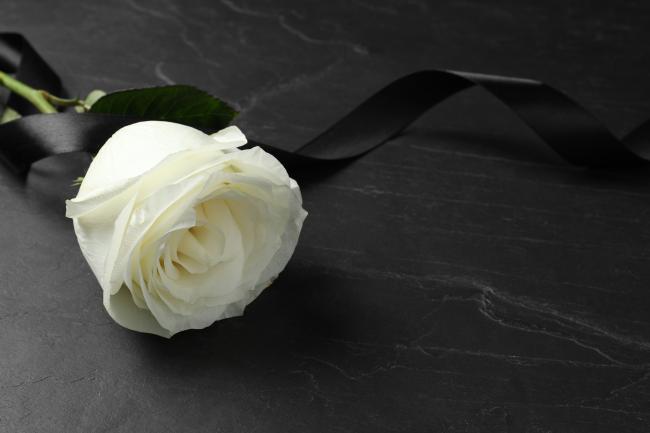 white rose on black background