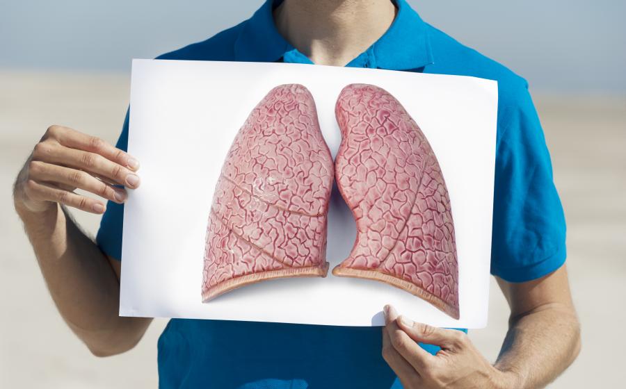 lungs